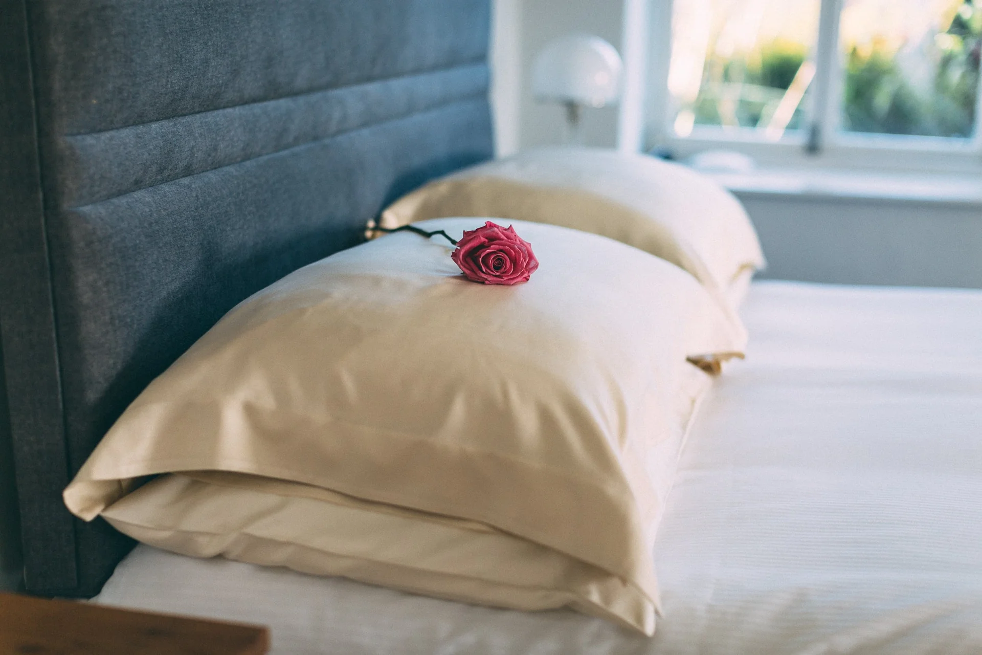 Sustainable Luxury, Pure Mulberry Silk